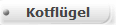 Kotflgel